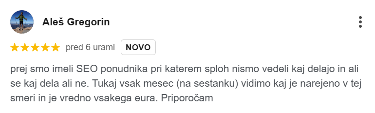 mnenje za seo SEO-Praktik