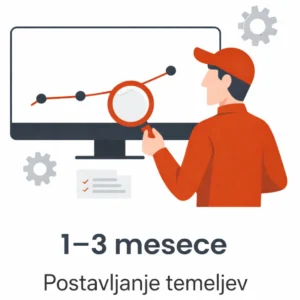 seo rezultati 1-3 mesece