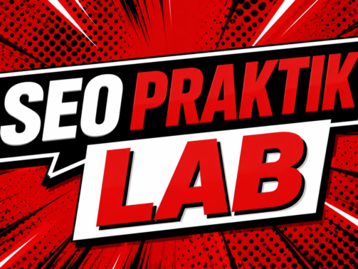 seo praktik lab