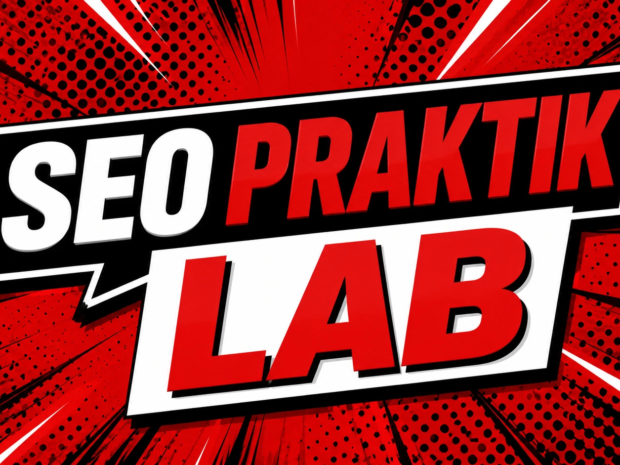 seo praktik lab